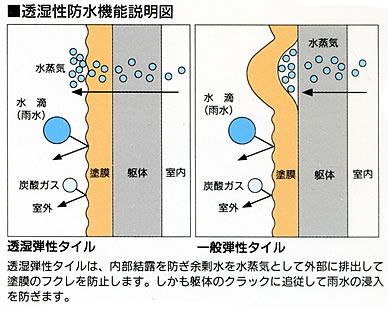 図：透湿弾性防水機能説明図　透湿弾性タイルは、内部結露を防ぎ余剰水を水蒸気として外部に排出して塗膜のフクレを防止します。しかも躯体のクラックに追従して雨水の浸入を防ぎます。